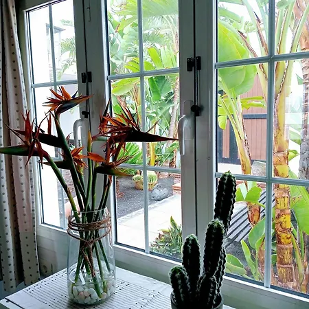 Casa Strelitzia *