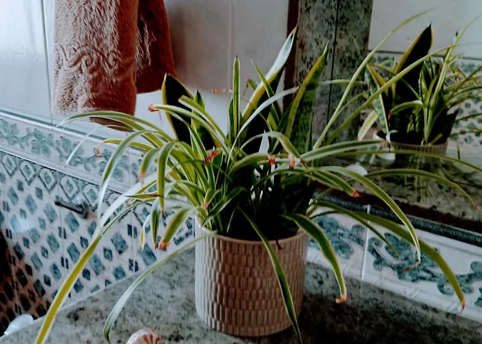 Casa Strelitzia Villa Nazaret