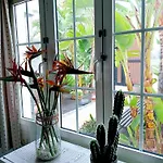 Casa Strelitzia *