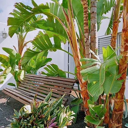 Casa Strelitzia * Nazaret