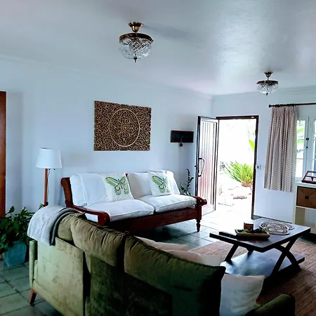Casa Strelitzia
