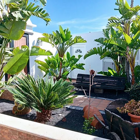 Casa Strelitzia 别墅 *