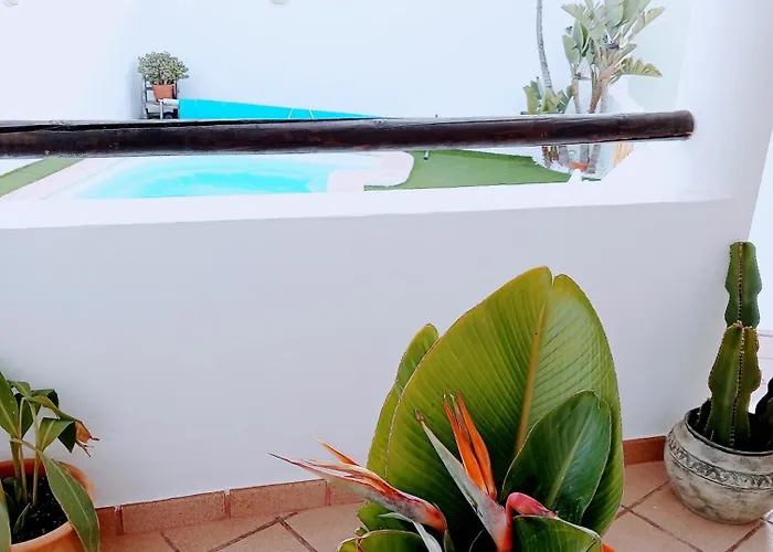 Casa Strelitzia Villa Nazaret