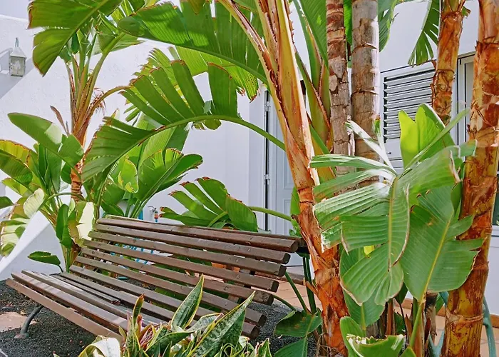 Casa Strelitzia * Nazaret