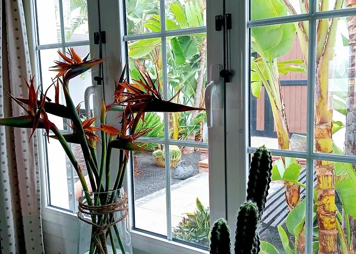 Casa Strelitzia *