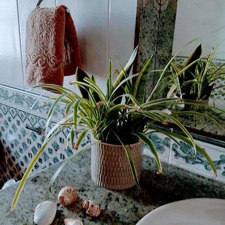 Casa Strelitzia Villa Nazaret